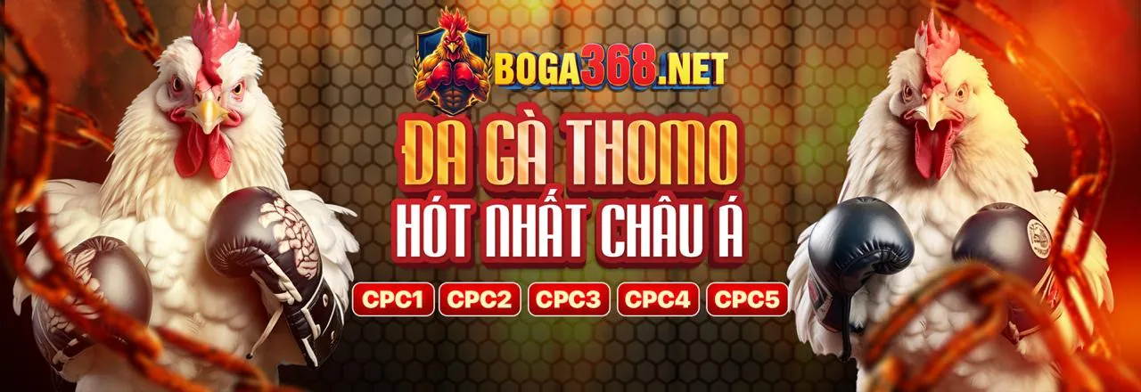Tin tức f8best và các trò chơi cá cược trực tuyến